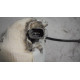 Opel Meriva A 1.6 8V 64KW R.V 03-05 Těhlice L.P