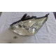 Ford Focus I Combi 1.6 16V 74KW R.V 01-04 Xenon L.P