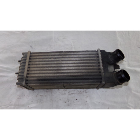 Peugeot Partner 1.6HDI 55KW R.V 04-08 Intercooler