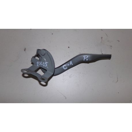 Citroen C-1 5DV 1.0 50KW R.V 05-08 Pant kapoty P