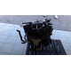 Renault Thalia 4DV 1.2 16V 55KW R.V 08-14 Motor-Typ D4F728